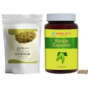 ERBAL HILLS Gurmar pulbere de ceai și capsule Karela ambalaj de 2 Combo