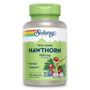 SOLARAY Hawthorn Berry Capsule 1050 mg - Soothing Herbal Supplement - Hawthorne Berry Supplement for Global Wellness Support - Whole Berry, Vegan, Non-GMO, 60 Day Guarantee, 90 Servings, 180 VegCaps