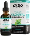 Clorofila lichid picături corp dezintoxicare - Vegan lichid Clorofila scade Odor Cleanse Supliment, Energie & Imun, Deodorant intern, Supliment de deodorizare organism - Natural Deodorant apă 2 oz