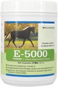 E5000 Powder 