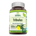 Secrete vegetale Tribulus 630 Mg 120 Capsule Veggie Supliment 