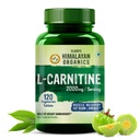 Himalayan Organics L-Carnitine L-Tratrate cu extract de ceai verde 2000 Mg 
