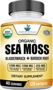 American Standard Supplements Organic Sea Moss, Bladderwrack & Bredock Root Capsules - 1200mg Seamoss, 1200mg Bladderwrack, 225mg Brodock Root Per Serving - 120 capsule, 40 Serviri