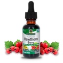 Nature's Answer Hawthorn Berries 