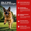 Câine Hip și supliment comun - Dog Pain Relief Anti Flammatory cu glucosamină, Chondroitin, MSM, Turmeric, Vitamina E, Omega 3 - tratează displazie Hip, Artrită - toate mare mic mediu Rasa