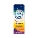 Xyzal Copiilor 24 de ore Alergie Relief Medicina pentru copii, Levocetirizină Dihidroclorhidrat Antihistaminic lichid, Struguri, 10 Fl. oz.