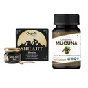 ORGANIC SPREE Pure Himalayan Shilajit Resin & Mucuna Supliment 