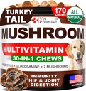 Ciupercă pentru câini - 170 Chews - Turcia Coada - supliment ciuperci pentru câini - Lions Mane - Reishi - Suport pentru imunitate Vitamine multivitamine - Sănătate comună - Energie - Gut - Piele - Made in USA
