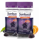 Sambucol Black Elderberry Gumries cu vitamina C & Zinc - Sambucus Elderberry Gumies pentru suport imunitar, Antioxidanti ridicati, Gluten gratuit, Vegan, Elderberry cu zinc & vitamina C - 30 Conte, 2 Pack