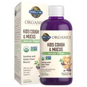 Gradina de viata Organics Elderberry & Zinc pentru copii de sprijin imun, Copii Tuse & Mucus Sirop imunitar cu Ivy Leaf, Vitamina C și echinacea pentru copii, Alcool-Free, Nu Sugars adăugate, 3.92 fl oz
