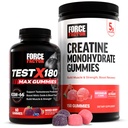Masa de performanță a factorului de forță: Test X180 Max T-Booster (60 de gume mixte Berry) și Creatină Monohidrat 5g (150 de gume pepene verde)