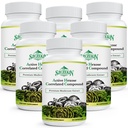 Active Hexoză Corlegated Compus 1500 mg Supliment, Natural 8 Mushroom Extras Supliment, Sistem imunitar, Funcţia hepatică, Natural Killer şi activitatea celulelor T, 540 Capsule Veggie