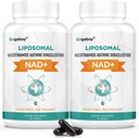 Orgabay Liposomal NAD. Supliment 500 mg, Absorbţie mare, Boost NAD+ cu TMG 250 mg, actual NAD Plus mai eficient decât Nicotinamida Ribozida, suport energie celulară, îmbătrânire sănătoasă 120 Softgels