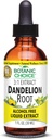 Alegerea botanică Root Dandelion, Alcool lichid liber Extract-Tradițional de sprijin pentru sănătatea ficatului, Cleanse toxine, Ajutor Digestion-1 lichid Ounce