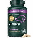 VetriScience Acţiune rapidă UT Health Tablete masticabile, UT Putere STAT Suplimentul pentru câini, Cranberry, Uva Ursi, şi Chanca Piedra la Soothe Urine Tract Discomfort, Fum, 90 Conte