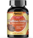 Phellinus linteus Extract de ciuperci - calitate premium, Doar Corpuri fructifere, Antioxidant, Booster de imunitate, Suport hepatic, 90 Veg Caps.