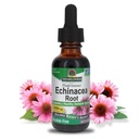 Răspunsul naturii Echinacea Alcool Extract gratuit 1 Ouce Fluid 