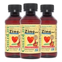 ESSENTIALS CHILDLIFE Zinc lichid Plus pentru copii & Toddler - Picături suplimentare lichid, Gluconat de zinc și cupru pentru suport imun - Mango Strawberry, 4 Fl Oz (Pachet de 3)