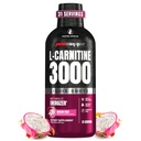 ProSupps L-Carnitine Liquid 3000, Stimulant-Free Shots lichid pentru bărbați și femei - Curățați de antrenament băutură pentru energie, performanță și recuperare musculară - Fără zahăr, fără carbohidrați - 31 Serviri, Dragon Fruit
