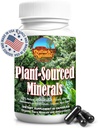 Blend de Minerale, Electroliti, Sanatate Gut, Functie Cognitiva, Hidratare si Suport Imun, Formula de Vitalitate Pura pentru Wellness - 60 Capsule