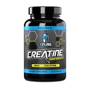 EFlow Creatine Capsule, HCL Creatine Pastile - Creatine Supliment pentru bărbaţi şi femei, Muscle Builder, Endurance, Putere, cu AstraGin şi Senativ (1500 mg, 90 capsule)