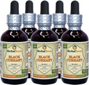 Coacăze negre (Ribes nigrim) Tincture, frunze uscate Extract lichid (Brand Name: HerbalTerra, Proudly Made in USA) 5x2 fl.oz (5x60 ml)