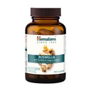Himalaya Boswellia, sprijin comun pentru mobilitate și flexibilitate, promovează conservarea țesuturilor, 250 mg, 60 capsule
