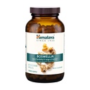 Himalaya Boswellia, sprijin comun pentru mobilitate și flexibilitate, promovează conservarea țesuturilor, 250 mg, 240 capsule