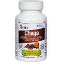 Sayan Siberian Chaga Mushroom Extract 