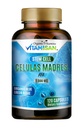 Celulas Madres AFA Celulă naturală stem 120 Capsule 1000 mg Algae verde albastru Non OMG Gluten liber Afanizomenon Flos-aquae celula Suplement Madre