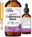 Salbatice si organice echinacea Tinctura - Picături de sprijin imun cu extract de rădăcină de echinacea lichid - Suplimente Angustifolia - Vegan, zahăr și alcool-Free - 2 fl oz