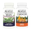 Hoste Defense Bundle with MycoBotanicals Brain* Capsules, 60 Count & Cordyceps Capsules, 60 Count - Support Memory & Focus - Support Immune Health & Energy
