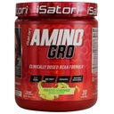 iSatori Amino-GRO BCAA Powder, Aminoacidi ramificati lant cu glutamina, Electroliti Powder & Bio-GRO Bio-Active Peptide pentru cresterea musculara si recuperare post antrenament, Frosted Lemonade (30 Servings)