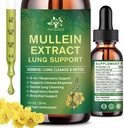 (2 ambalaj) 6 În 1 Mullein picături pentru plămâni, Organic Mullein Extract de frunze Tinctură pentru plămâni, Detox Cleanse & Respirație pentru respirație sănătate, Mullein Suplimentul de ulei Suport imun, Vegan, 1 Fl Oz