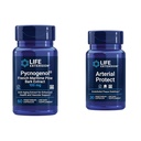 Extensie de viaţă Pycnogenol franceză Pine maritim Bark & Gotu Kola Arterial Health Suplimente - 60 & 30 Capsule vegetariene