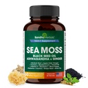SANDHUHERBALS Sea Moss Capsule cu ulei de semințe negru Ashwagandha ghimbir bussock rădăcină 