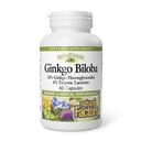 HerbalFactors by Natural Factors, Ginkgo Biloba, Supports Memory, Mental Performance and Healthy Brain Function, 60 capsule (60 portii)