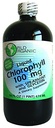 World Organics Clorofila lichid cu Spearmint, 16 Ounce lichid