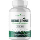 Berberina pura - 1300 mg Berberina cu scorțișoară Ceylon pentru suport de sistem metabolic și imunitar - 60 Serviri