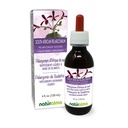 Naturalma South African Pelargonium sau Umckaloaba (Pelargonium sidoides) Root Alcool-Free Tincture - 4 fl oz Extract lichid în picături - Supliment vegetal - Vegan