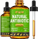 Caine Antibiotice cu aroma de pui 