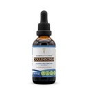 Secretele Tribului Collinsonia Tincture Extract de alcool fără alcool, Stoneroot (Collinsonia Canadensis) Supliment de tinctură uscată (2 FL OZ)