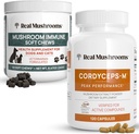 Ciuperci reale Cordyceps pentru oameni (120ct) și ciuperci Immune Pet Chews (60ct) - Bundle for Energy, Vitality & Imunity - Ashwagandha, Astragalus & More - Vegan, Non-GMO, Gluten-Free, Grain-Free