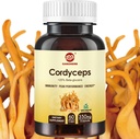 Cordyceps Capsule, Mushroom Extract Supliment Pulbere cu 31% Beta Glucan pentru Performanță, Energie și Sistem Imun, 700mg, 60 Conte, Organic și Vegan