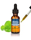 Herb Pharm Organic Nootropic Brain & Memory Supplement with Ginkgo Biloba lichid Extract: Absorbție rapidă pentru Mental Focus Supplement, Ginkgo, Vegan, Gluten-Free, Non-GMO, 1 Oz