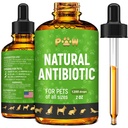 Caine Antibiotice pentru infectie, Tuse, UTI, Alergii, mancarime 
