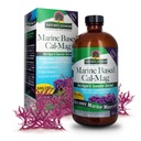 Nature's answer Marine Based Calciu Magneziu, Vanilla Cream, 16-Ounce 
