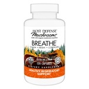 Hoste Defense Breathe* Capsule - Immune & Respiratory Supplement - Herbal Lung Health Supplement with Chaga, Reishi & Cordyceps - 120 Capsule (60 Servings) *
