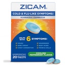 Zicam Rece & Flu-Like Simptome cu echinacea și Sambucus, Homeopatic, Zinc, răcire Aroma de mentă, Ajuta cu simptome reci, 20 comprimate