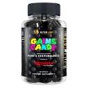 ALPHA LION Gains Candy, pastile suplimentare pentru pompa musculara si fluxul de sange, oxid de azot Booster, Suportă Focus mental, Utilizați zilnic pentru a actualiza performanța de antrenament, 63 capsule (Nitrosigine)